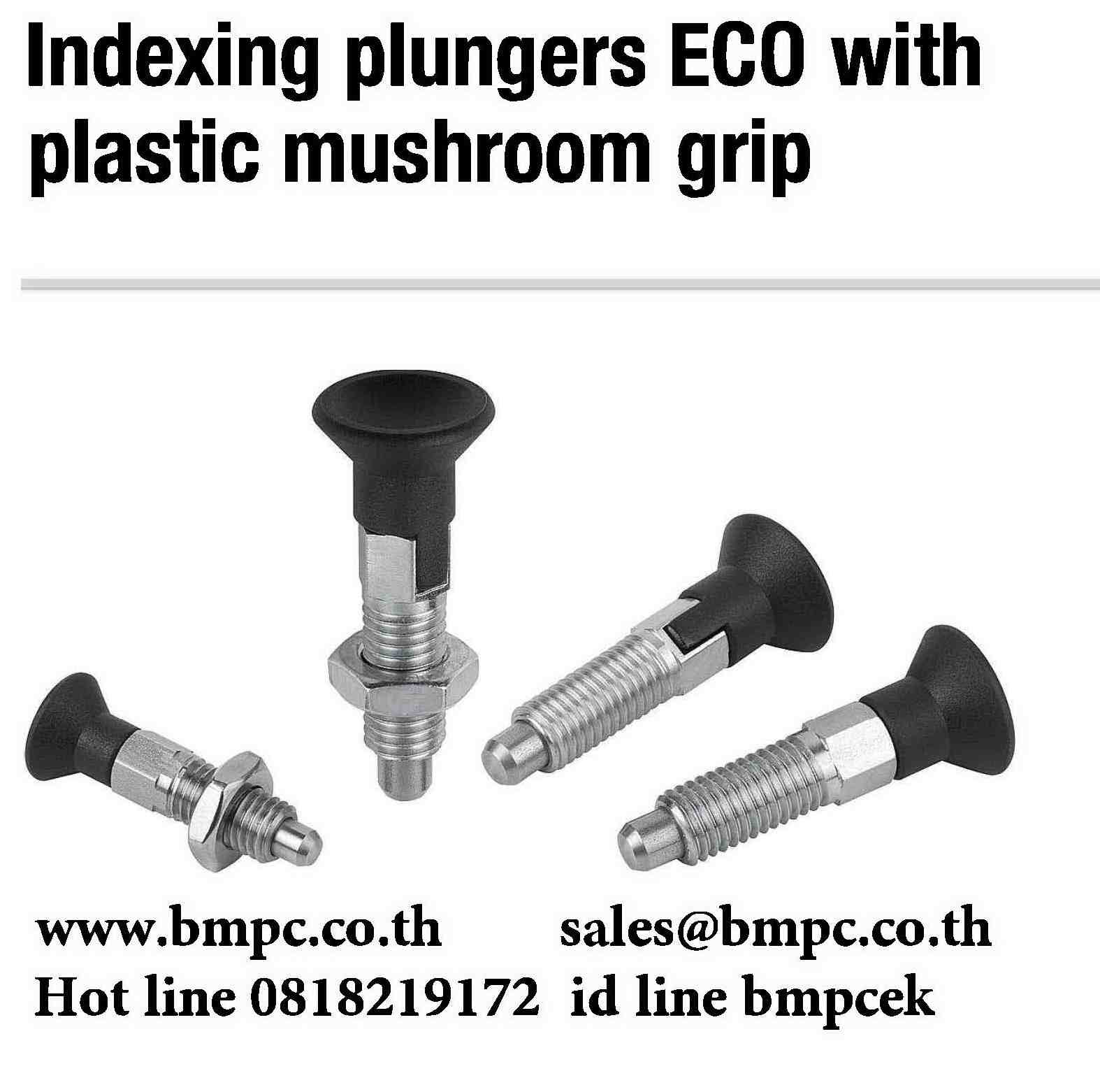 Locking bolt standard pitch, Index plunger, Plunger with pin, สลักล๊อกตำแหน่ง
